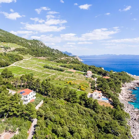 Lägenhet Plavac Mali-2 By Interhome Potomje